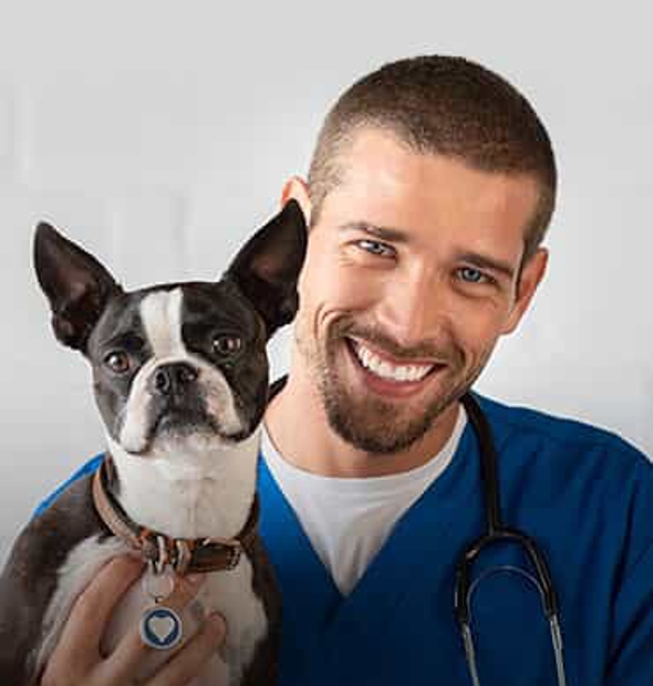 Reggie  Wilson Photo